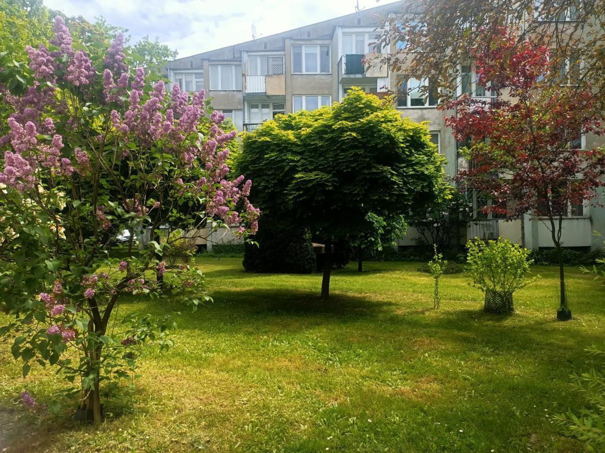 Przytulny Dwuosobowy Jaworowa Apartament Wrocław